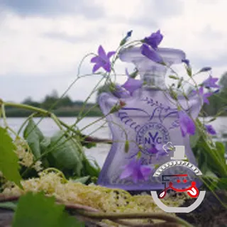 The Scent Of Peace Bond No 9